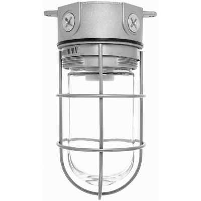 RAB Lighting VX100G-3/4 RAB VX100G-3/4 1-Light Wall With Built-In 4 Inch Box Mount 100 Series Vaporproof Light Fixture With Guard; 150 Watt, A19, Natural, Lamp Not Included